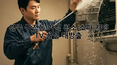 경주 구정동 거실 청소🧹✨: 소파, 카펫, TV 꿀팁 대방출!